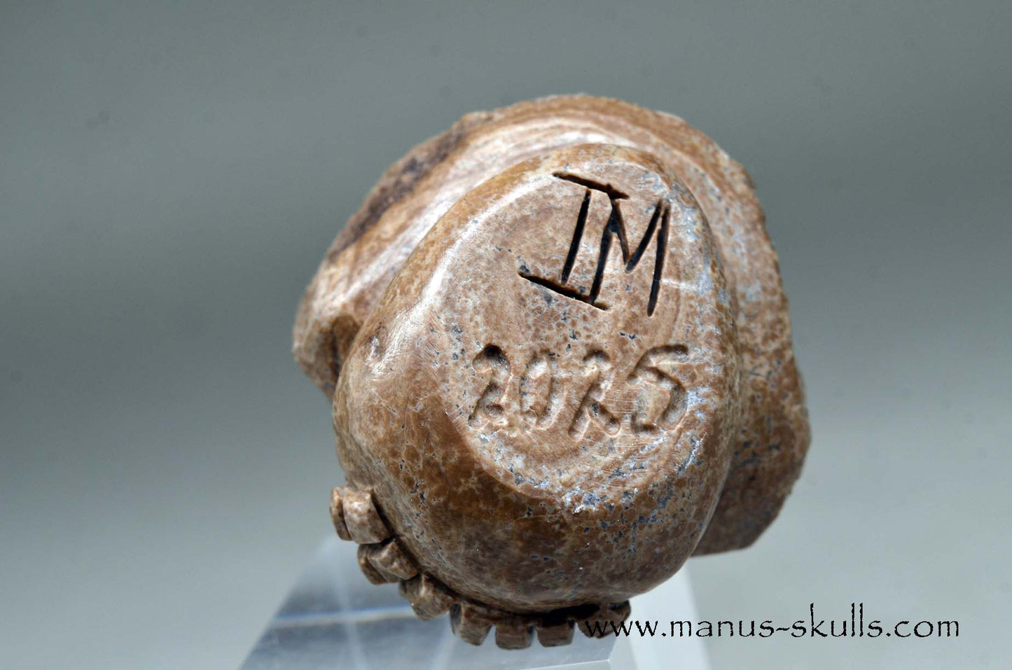 Aragonite Nodul Evolian Skull 2025 # 08