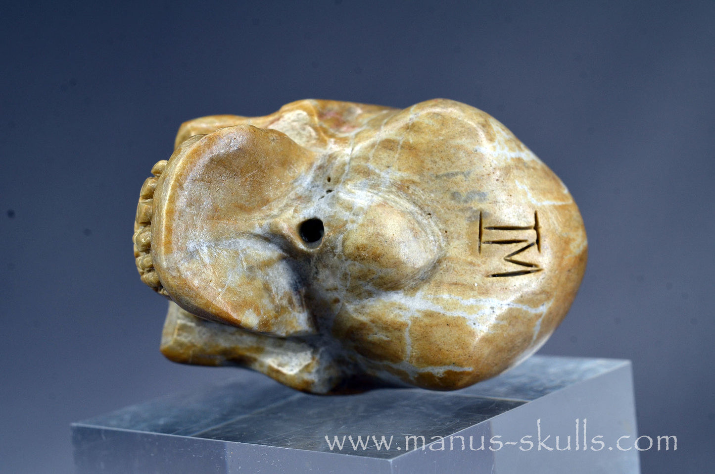 Sarsen Stone Skull