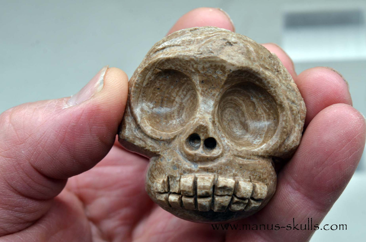 Aragonite Nodul Evolian Skull 2025 # 08