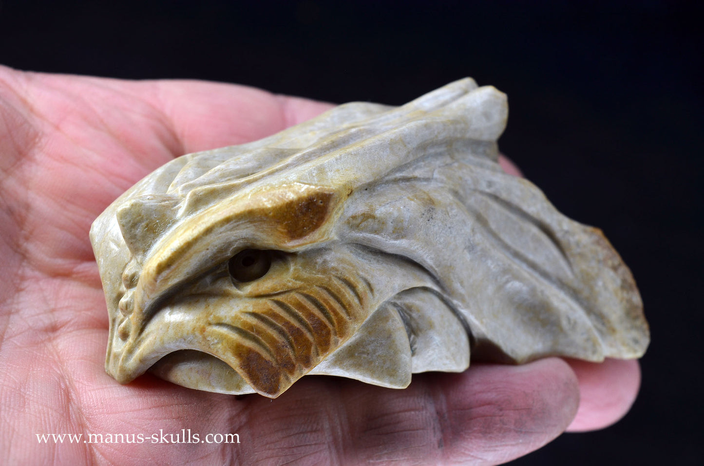 Feminine SARSENS STONE Fish Dragon. (Stonehenge Stone)