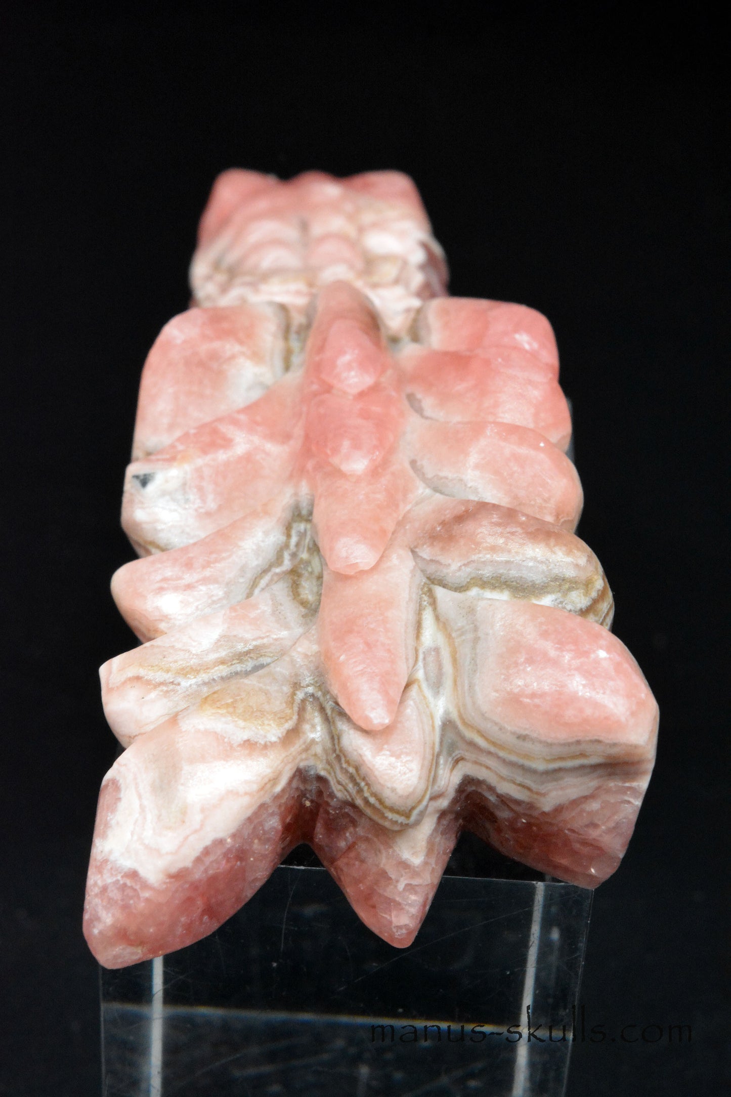 Manus Rhodochrosite Dragon