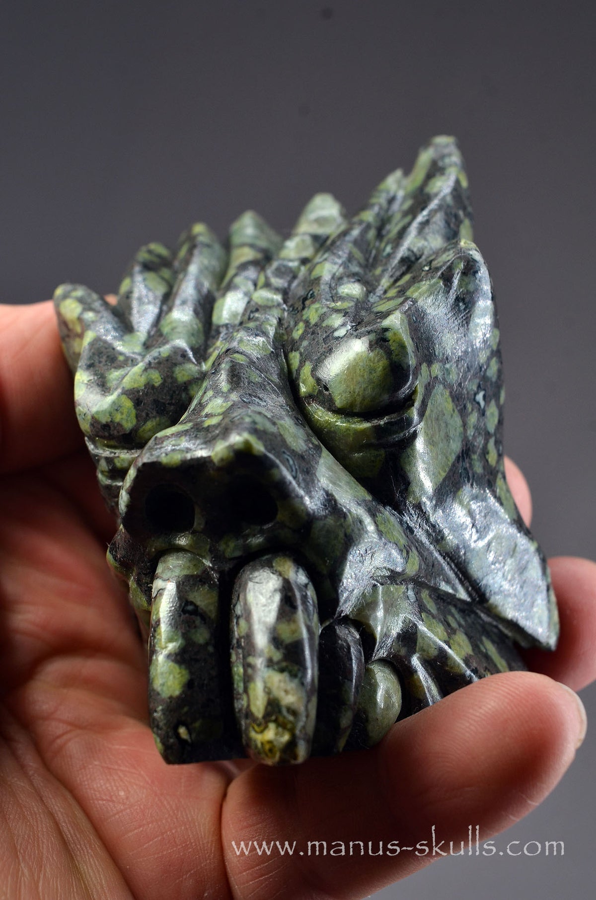 Lakelandite Dragon