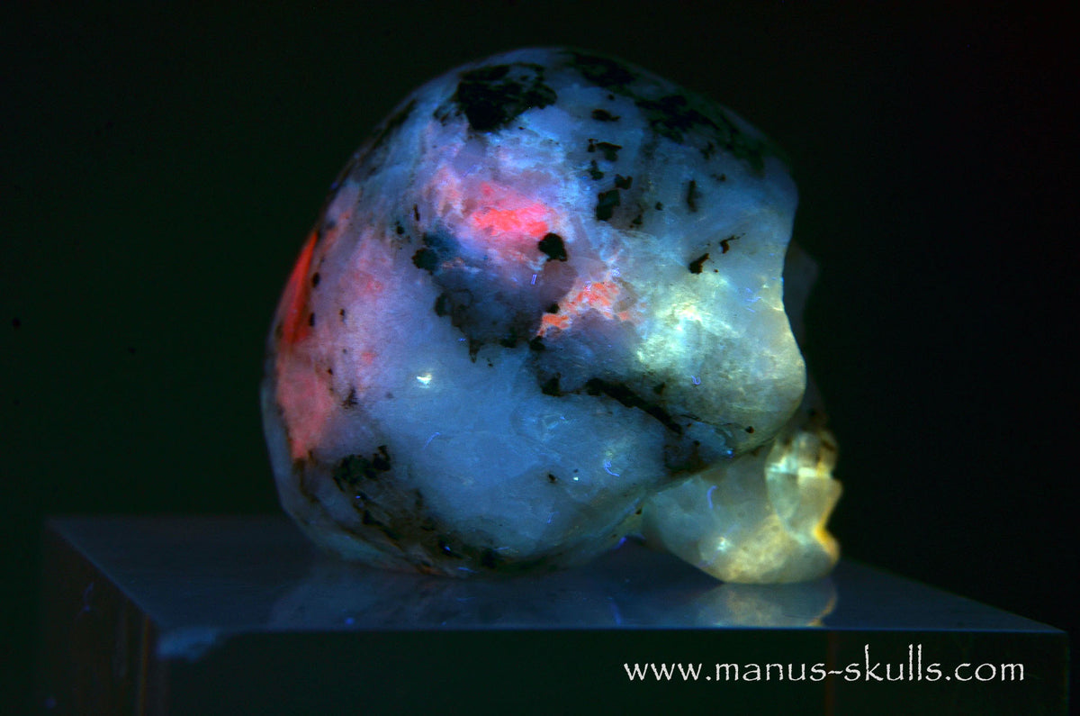 Rare TUGTUPITE Miniature Skully