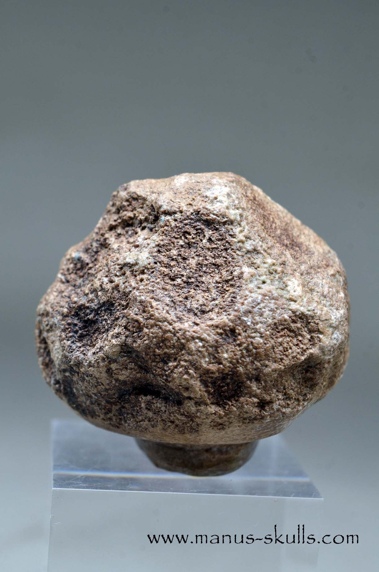 Aragonite Nodul Evolian Skull 2025 # 09