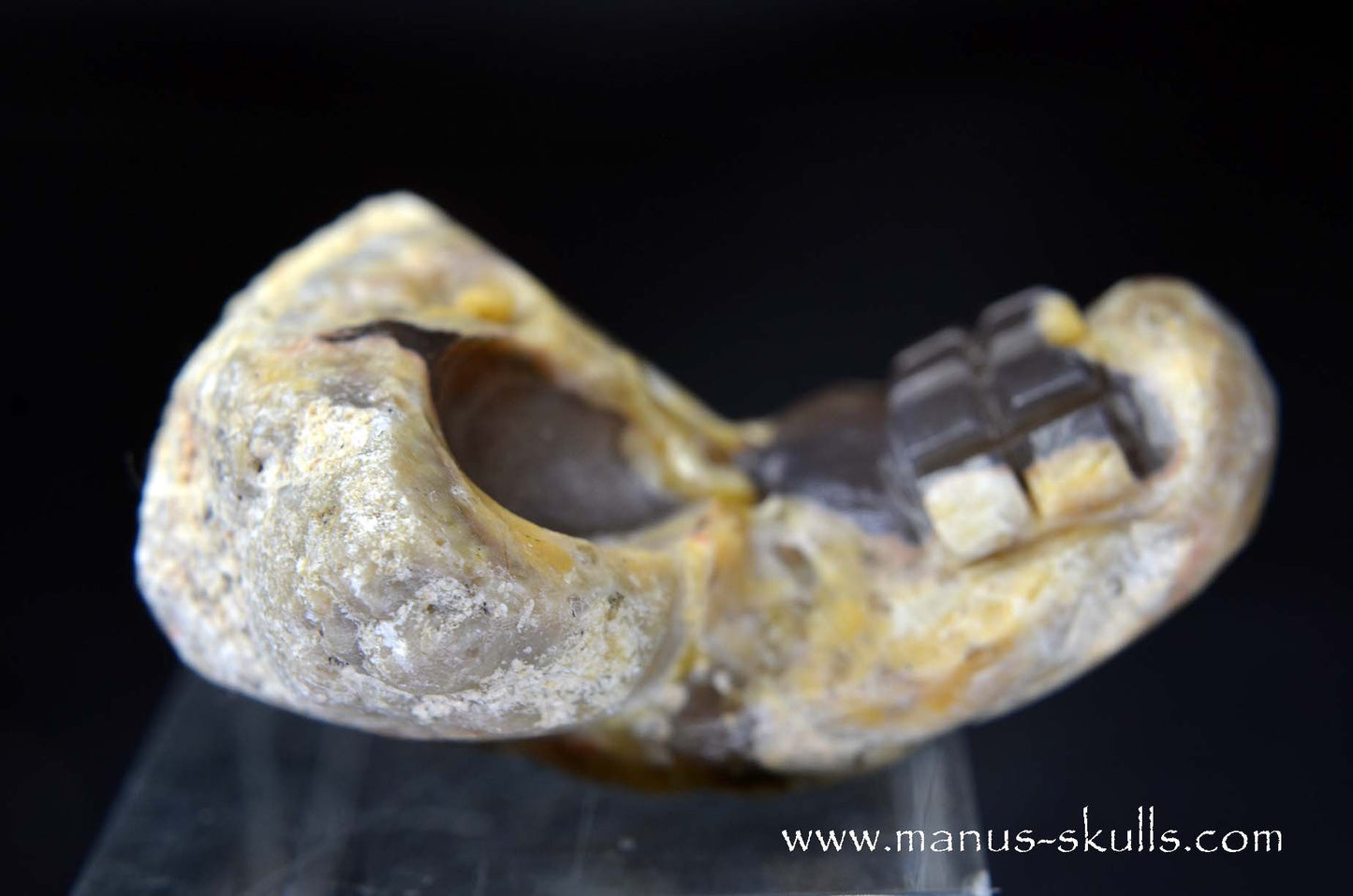 TNT-bed Thunderegg Evolian #09