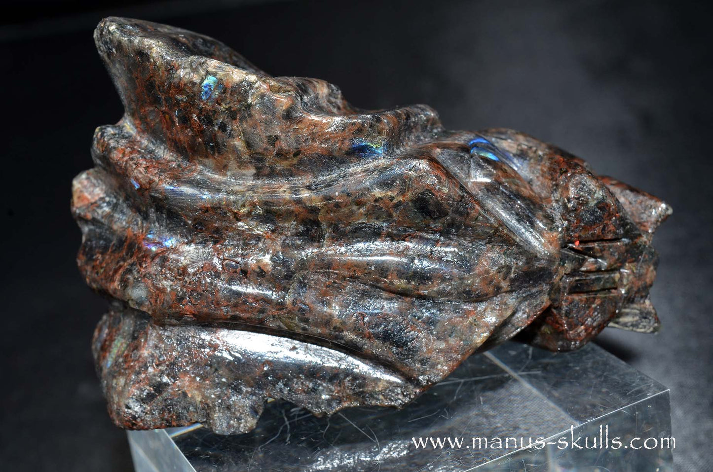 Spectrolite Dragon