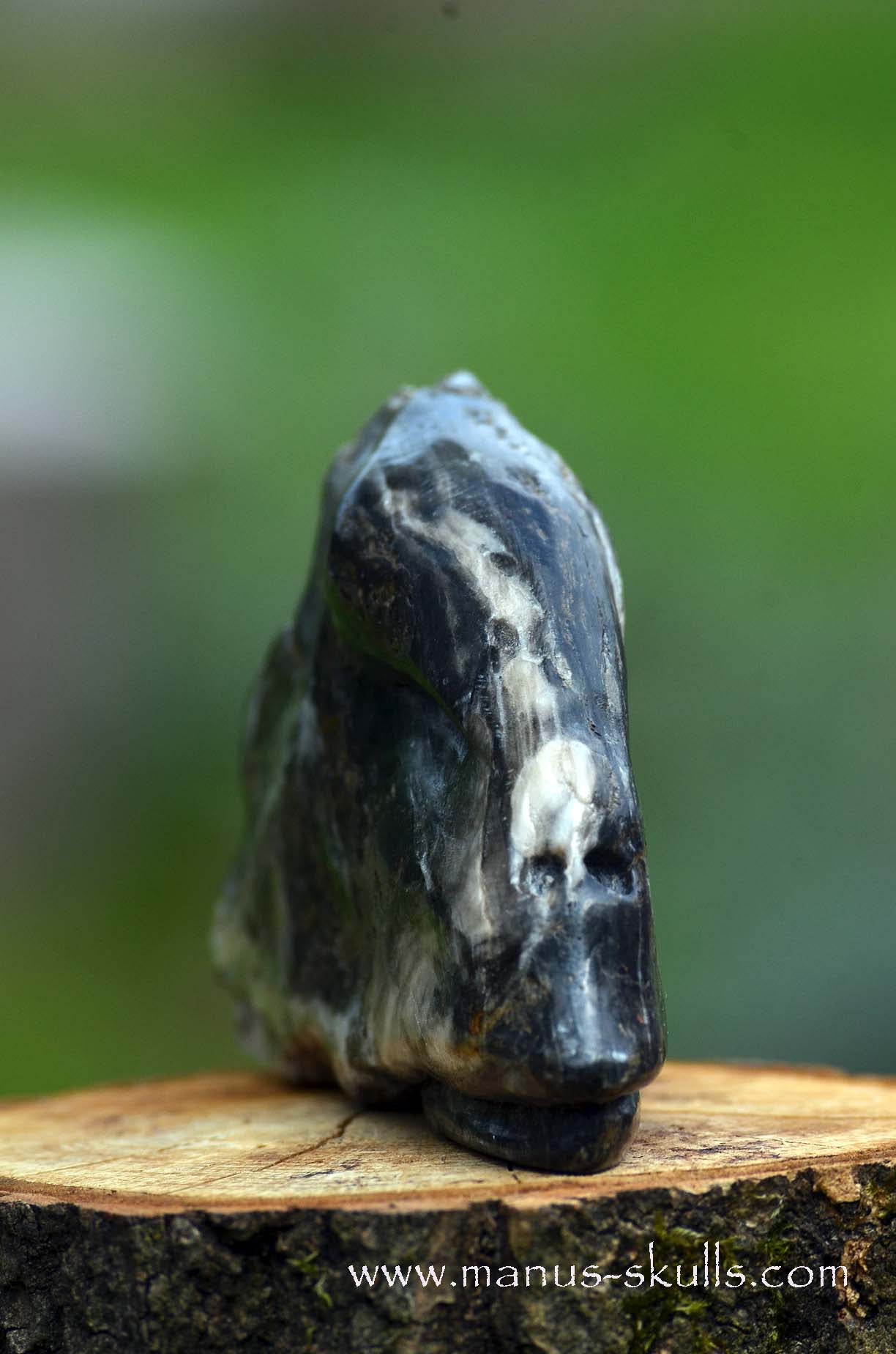Selenite Marienglas Dragon black