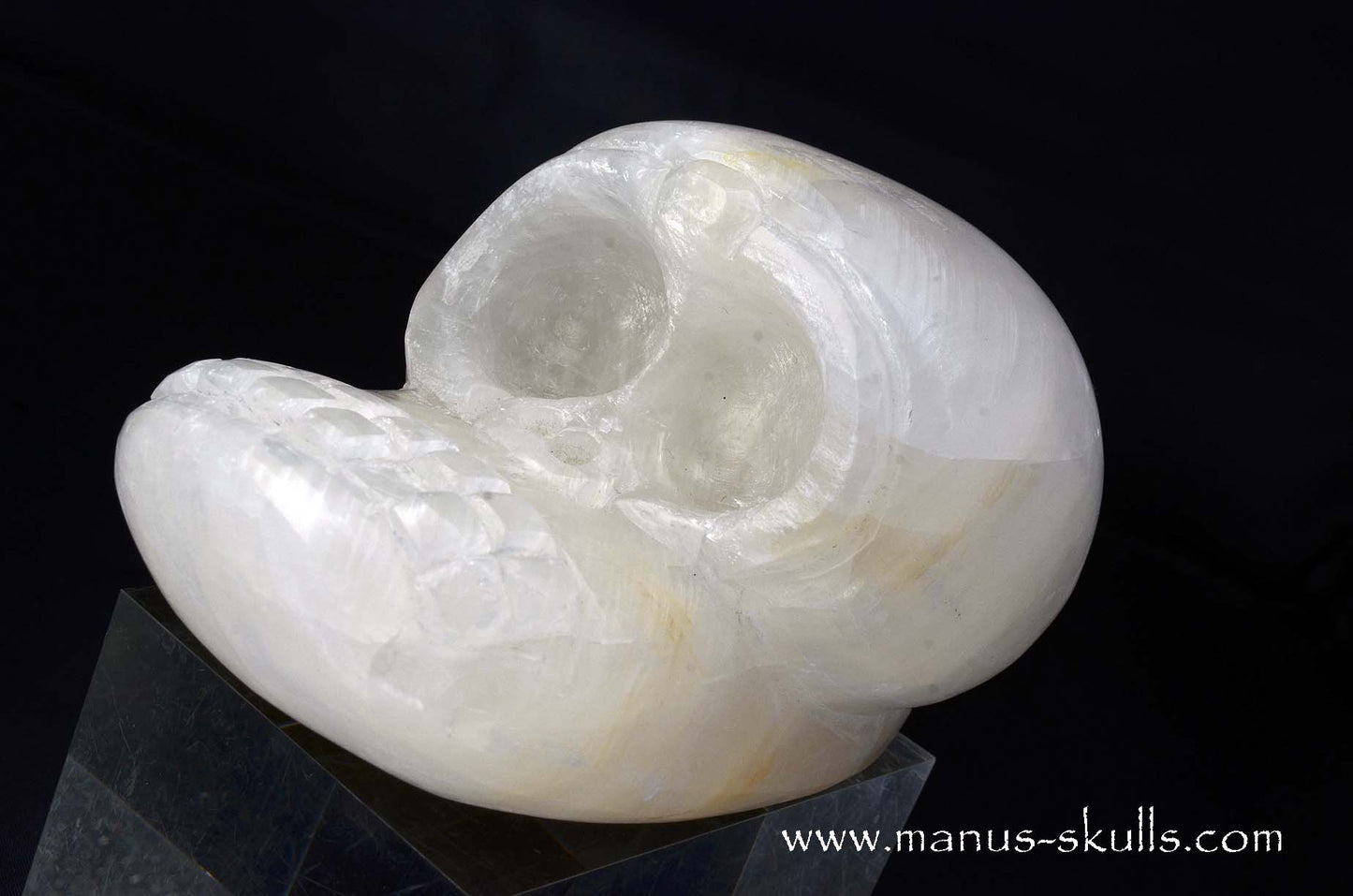White Calcite Evolian Skull #02