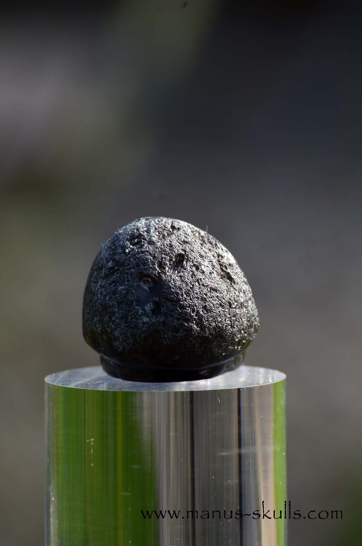 Agni Manitite Evolian #10
