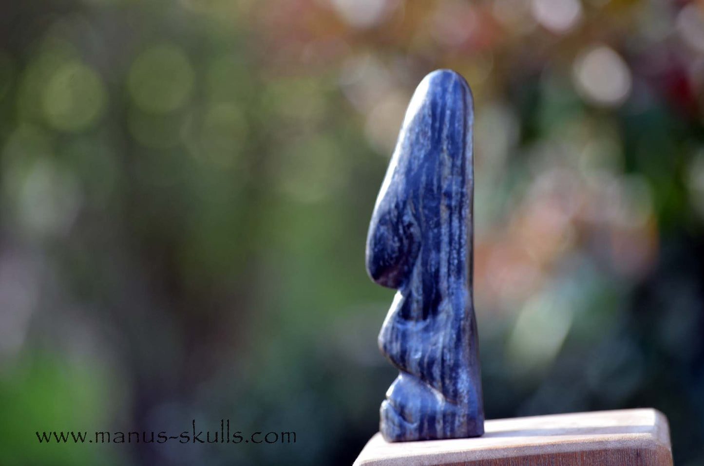 Isua Tribal Skull #019