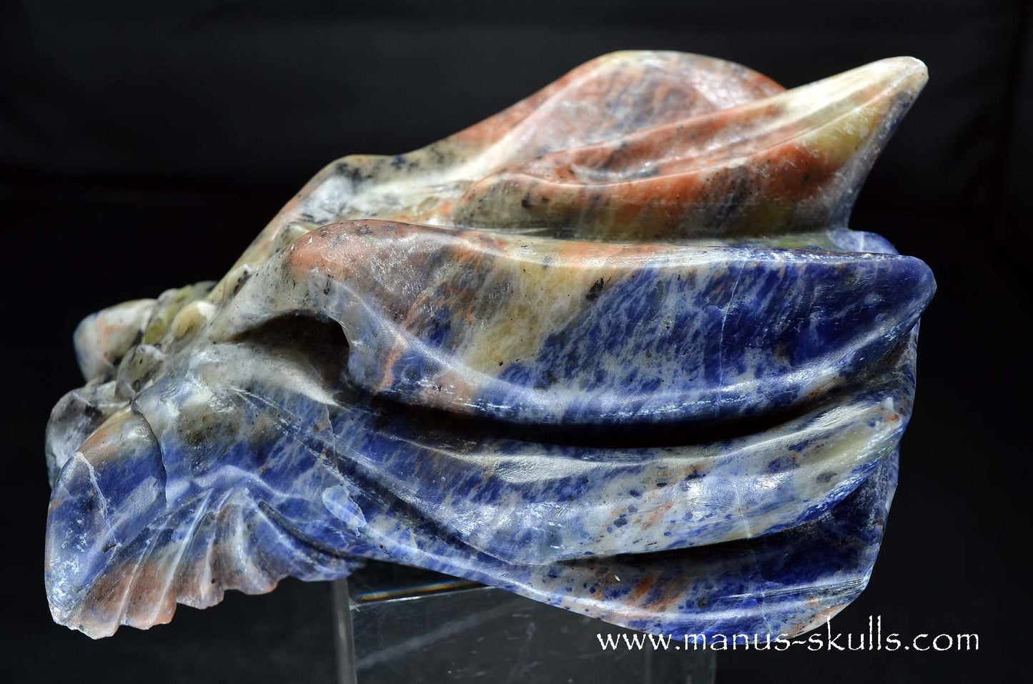 Sunset Sodalite Dragon