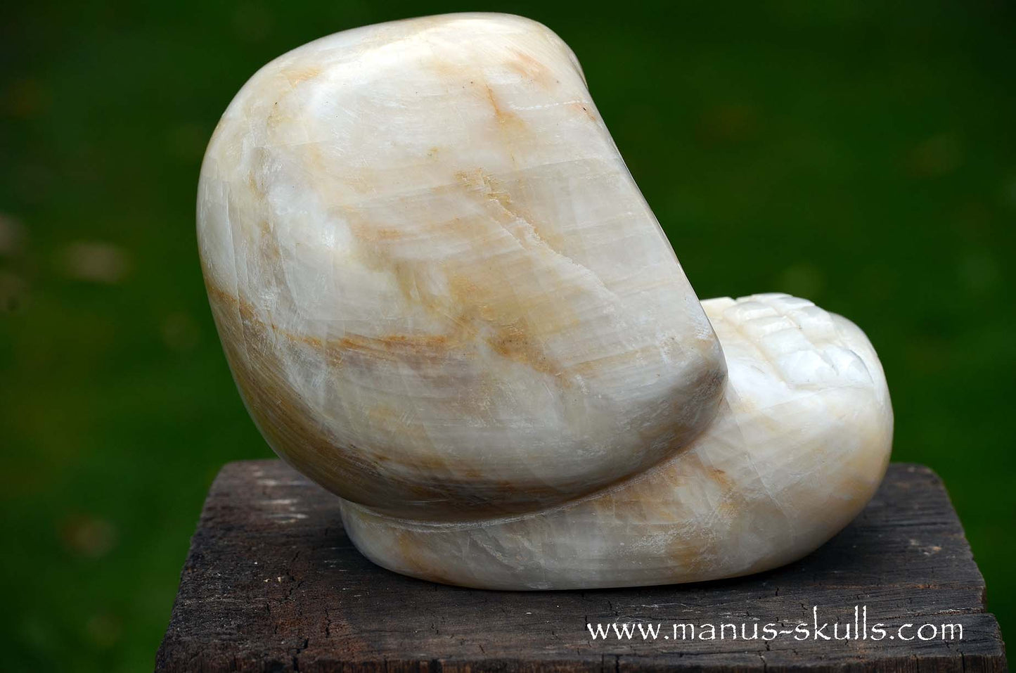 White Calcite Evolian Skull #01