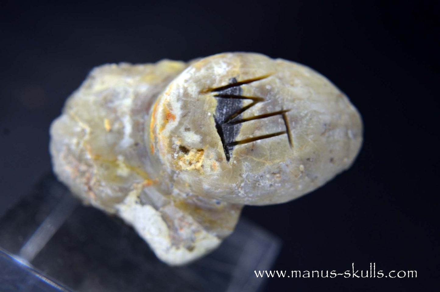 TNT-bed Thunderegg Evolian #01