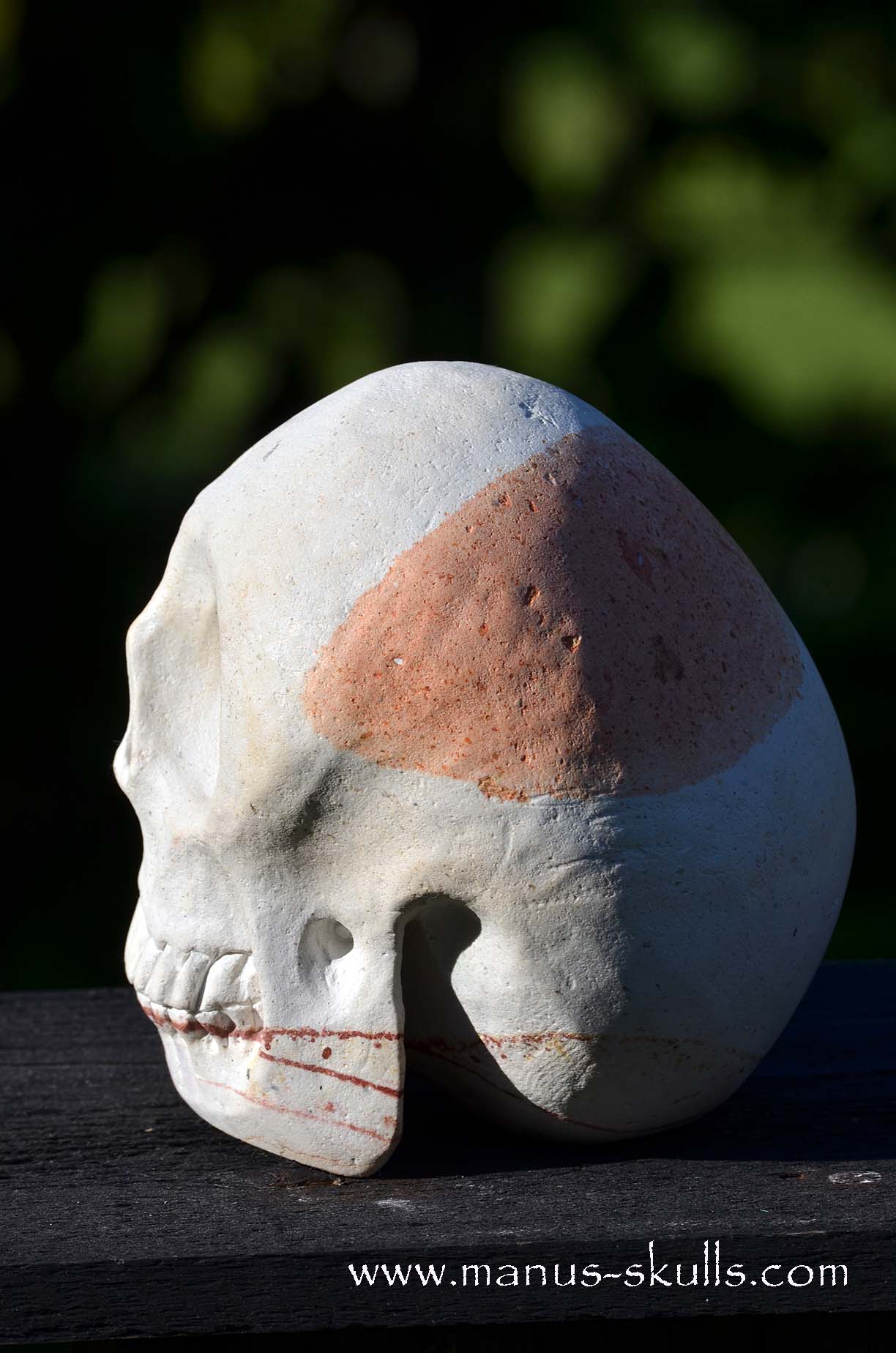 Arizona Sandstone skull