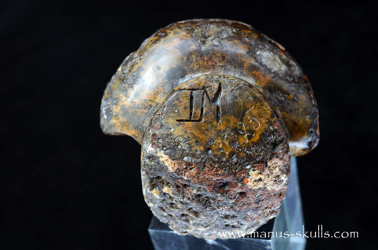 Agate Geode Evolian #01