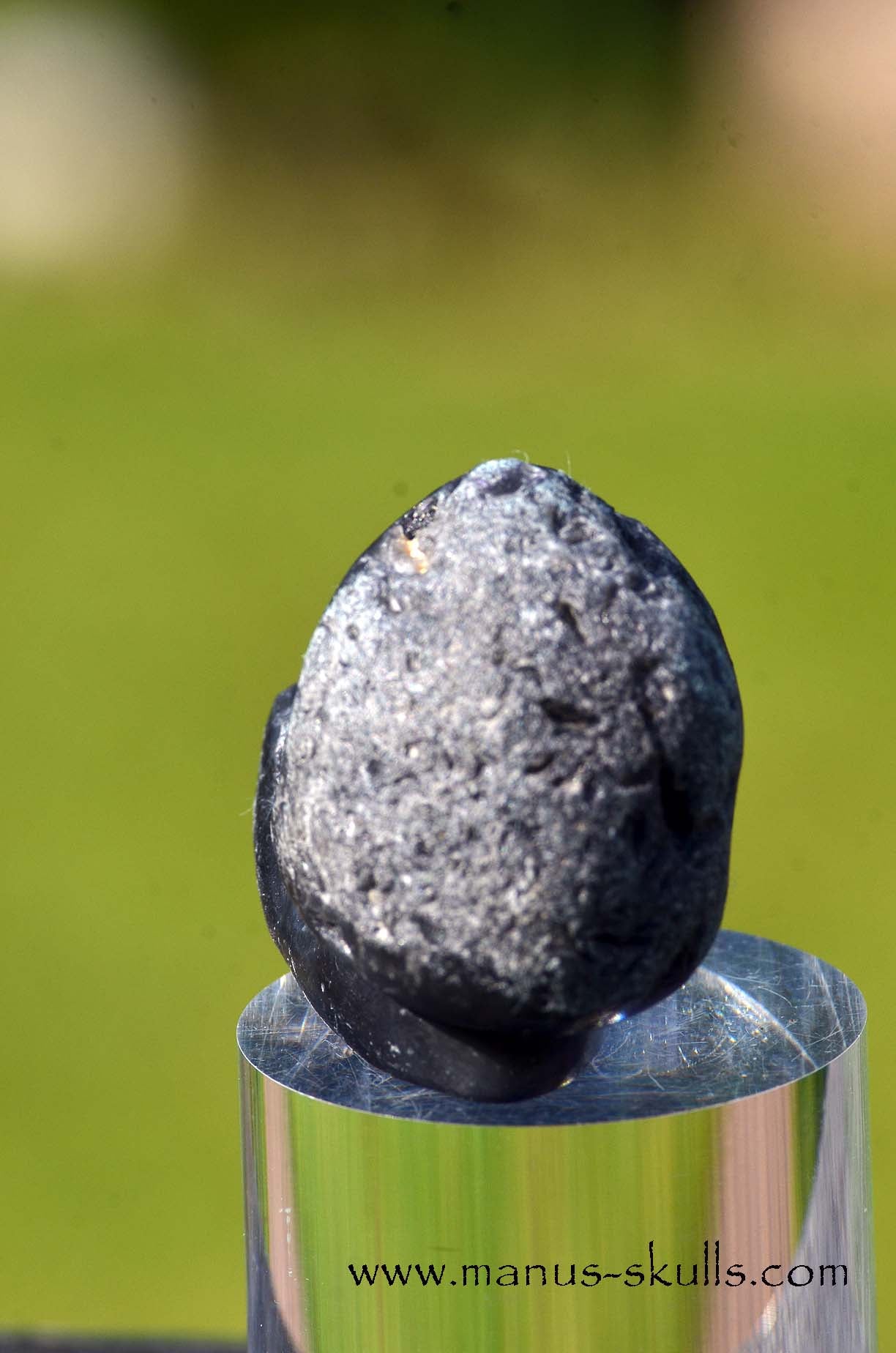 Agni Manitite Evolian #01