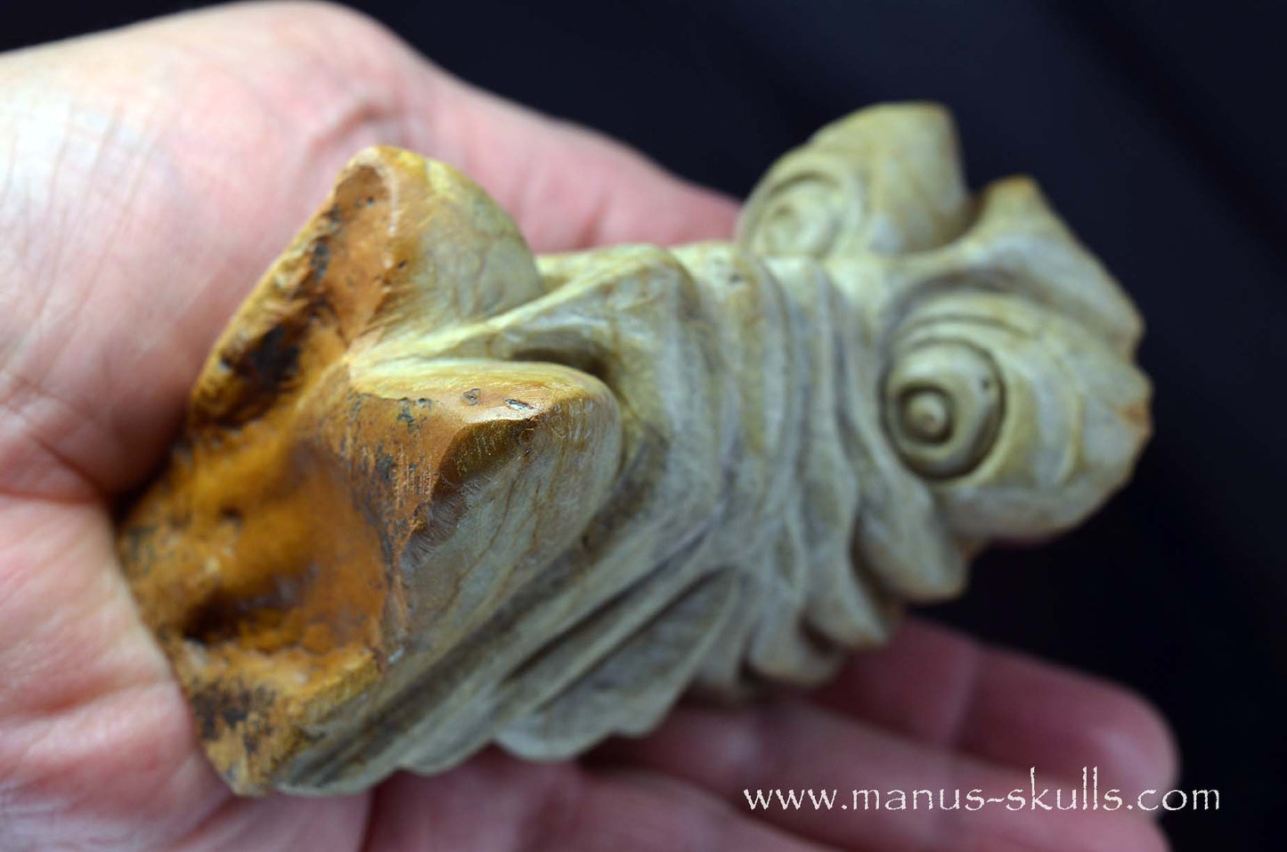 Sarsens Stone Dragon (Stonehenge Stone)