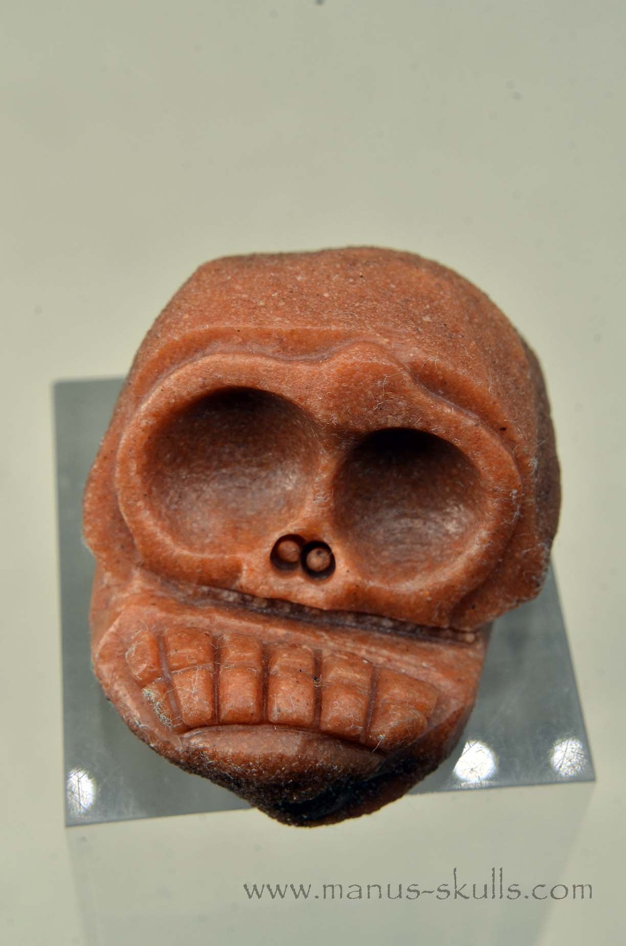 Oncolite EVOLIAN #01 (2025)