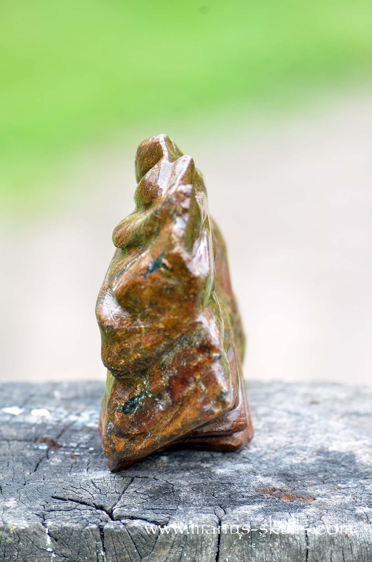Bronzite Dragon