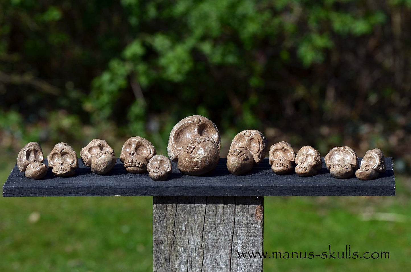 Aragonite Nodul Evolian Skull 2025 #02