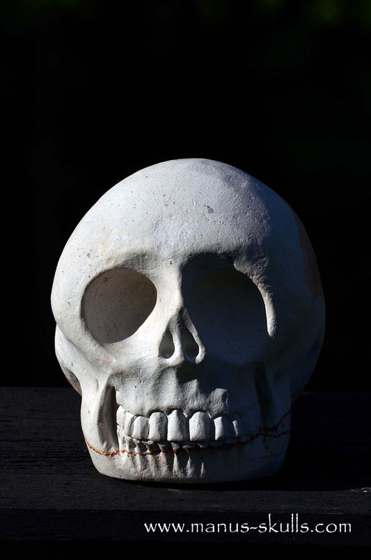 Manus skulls unique Crystal Carvings handmade skulls dragons pendants preseli bluestone tribals spiritual meaning  Arizona Sandstone Manus Skull