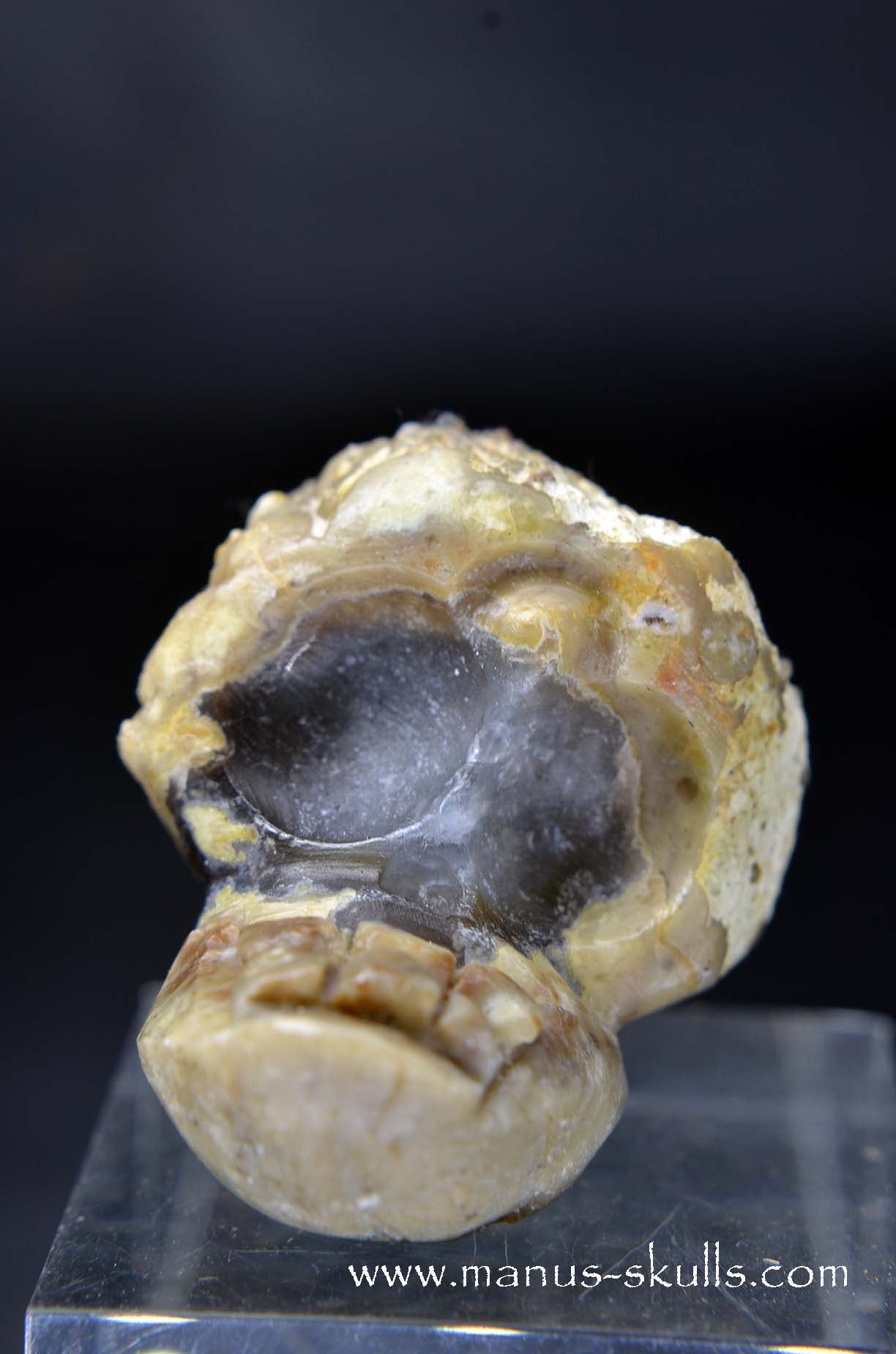 Manus skulls unique Crystal Carvings handmade skulls dragons pendants preseli bluestone tribals spiritual meaning wand Unicorn .. TNT bed   Lithophyse   Thunderegg