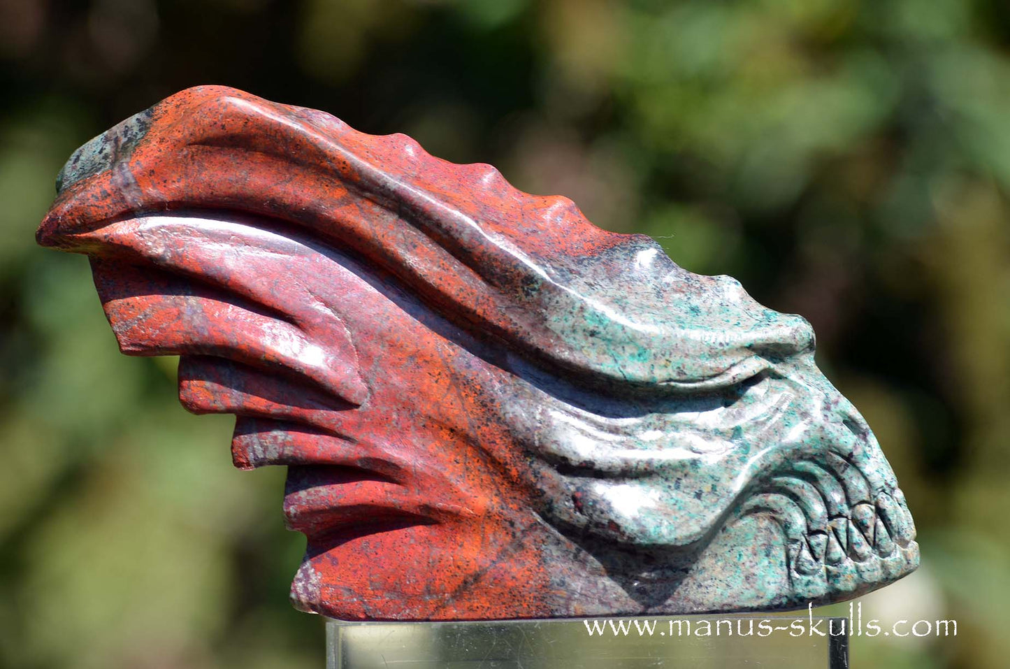 Special! .... Large SONORA SUNRISE Dragon ....