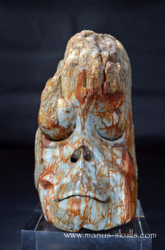 Eagle Eye Quartz Character Skull face