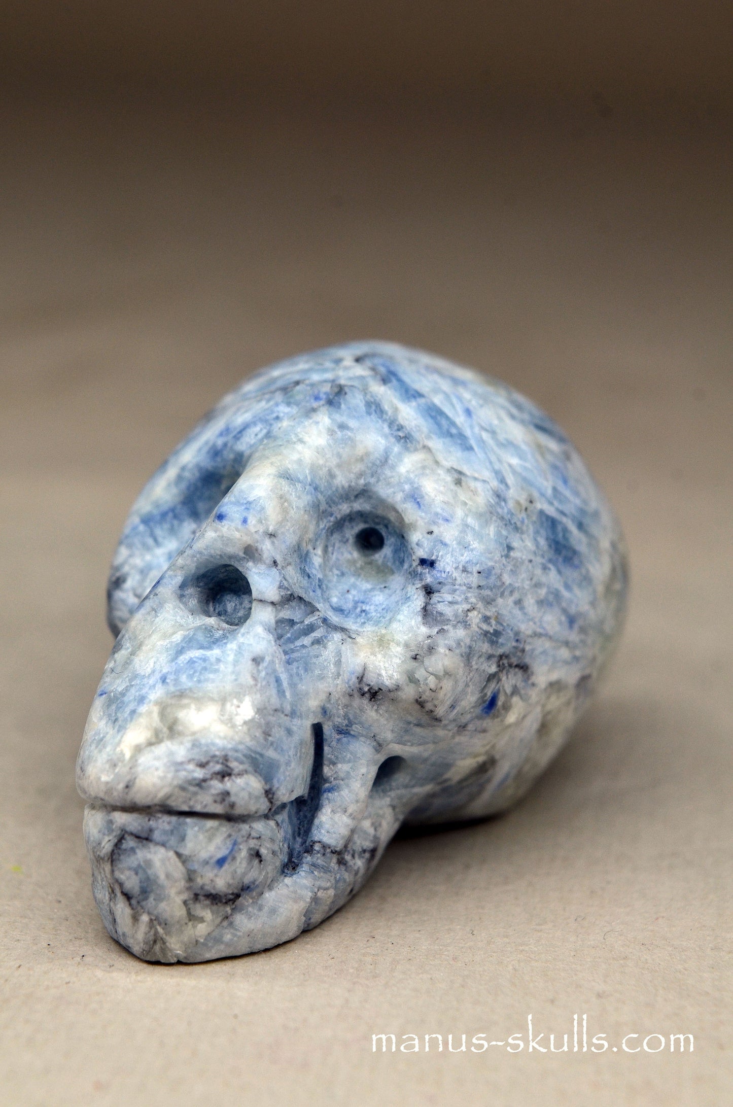 Blue Kyanite Manus Skull.