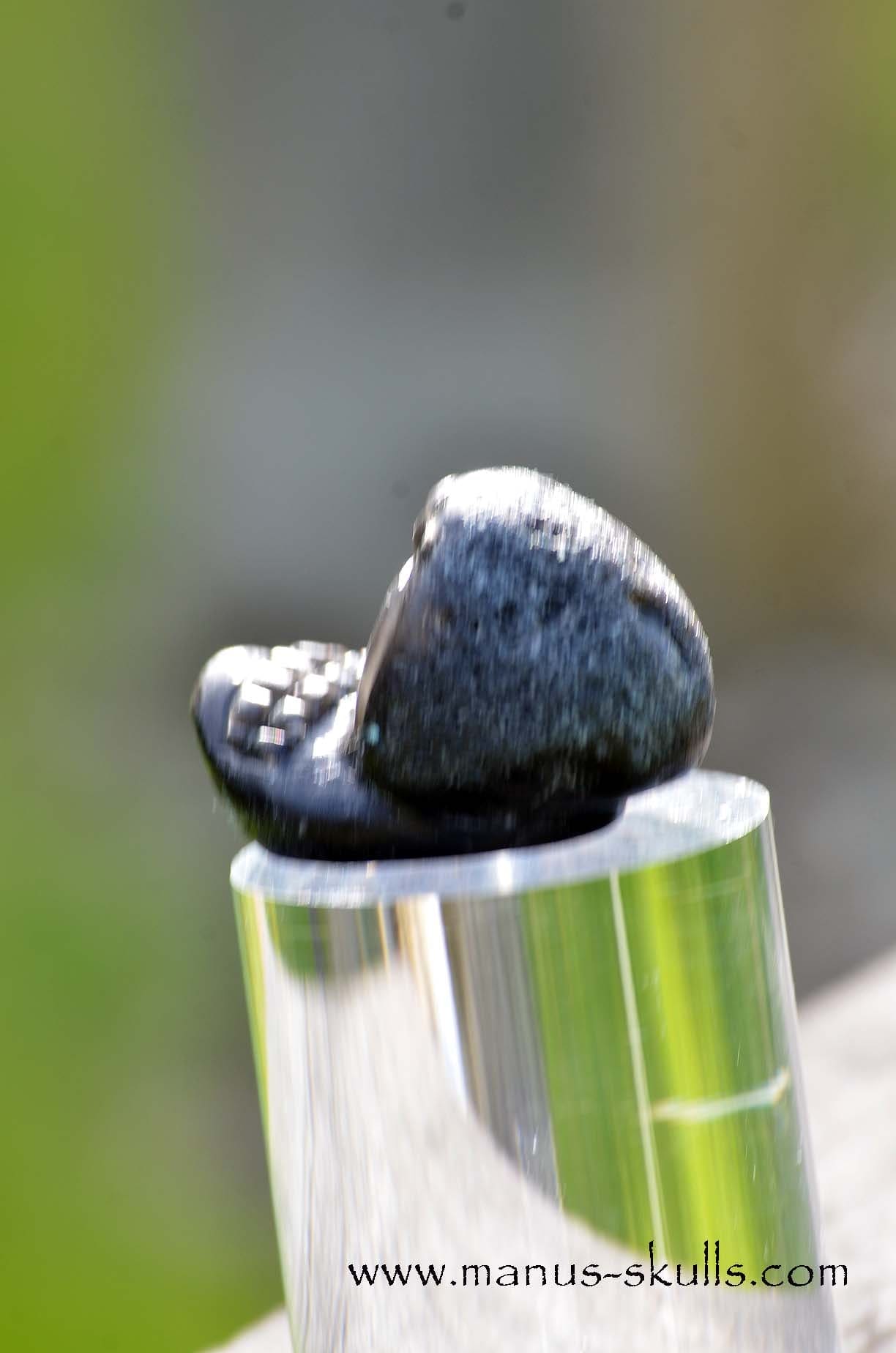 Agni Manitite Evolian #10