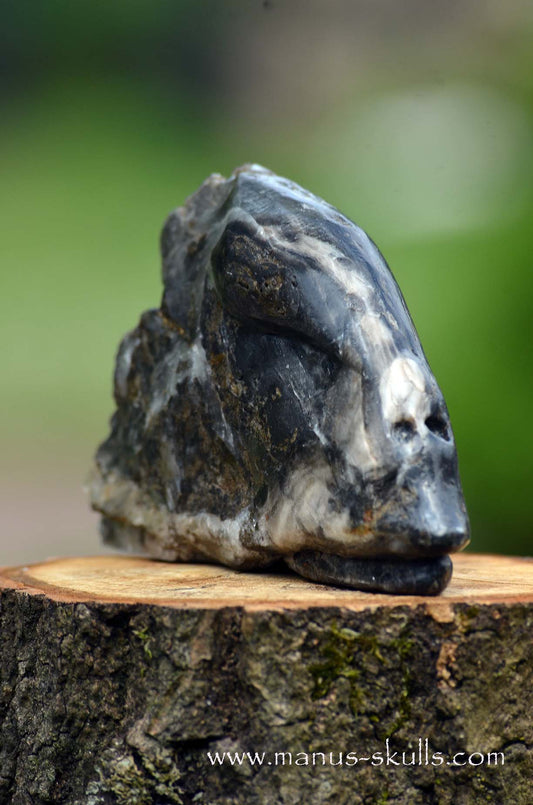 Selenite Marienglas Dragon black