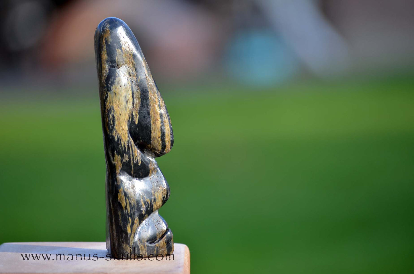 Isua Tribal Skull #019