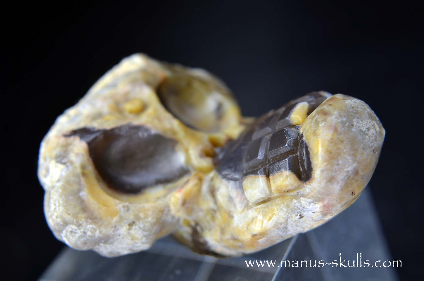TNT-bed Thunderegg Evolian #09