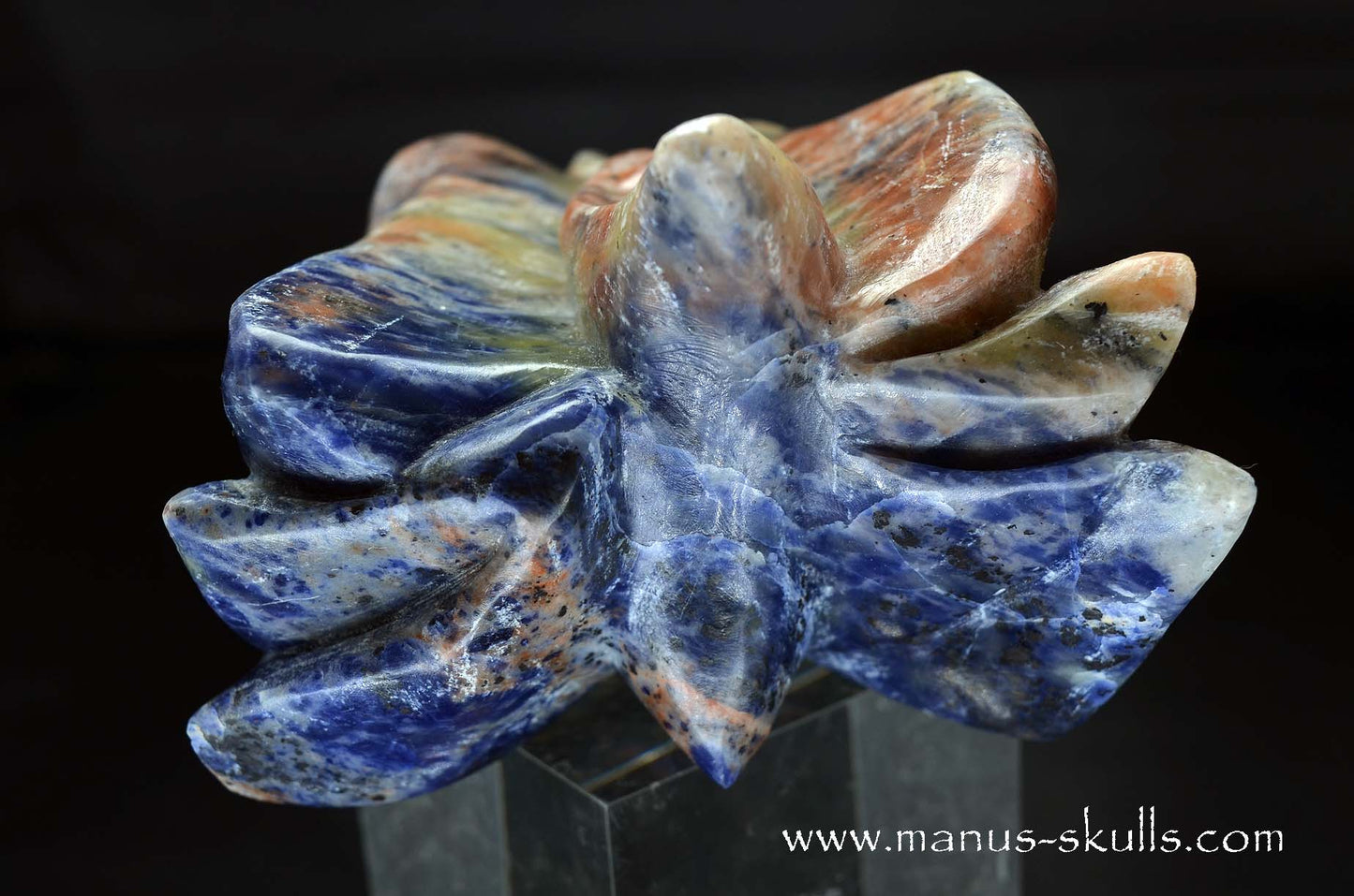 Sunset Sodalite Dragon