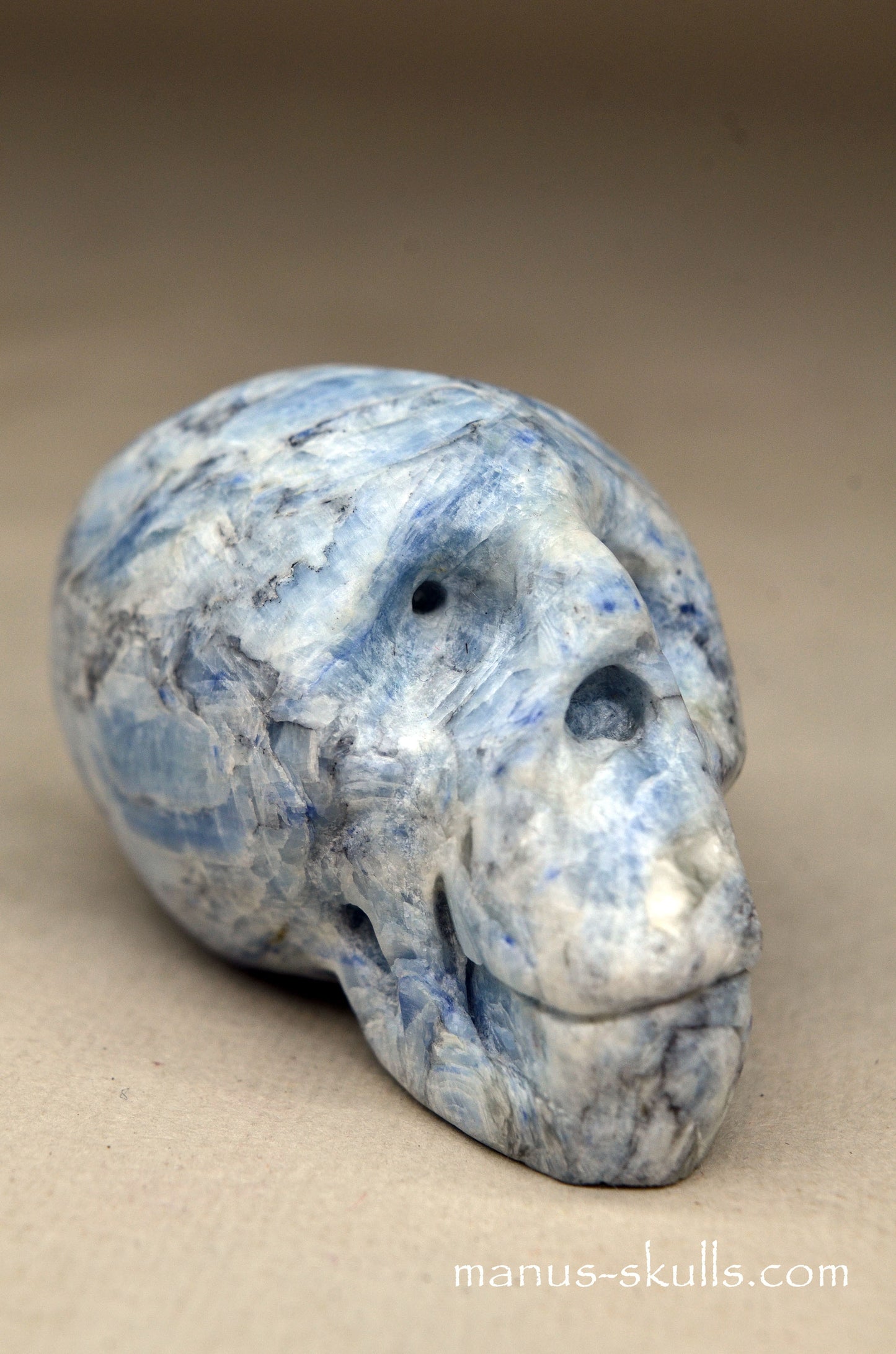 Blue Kyanite Manus Skull.