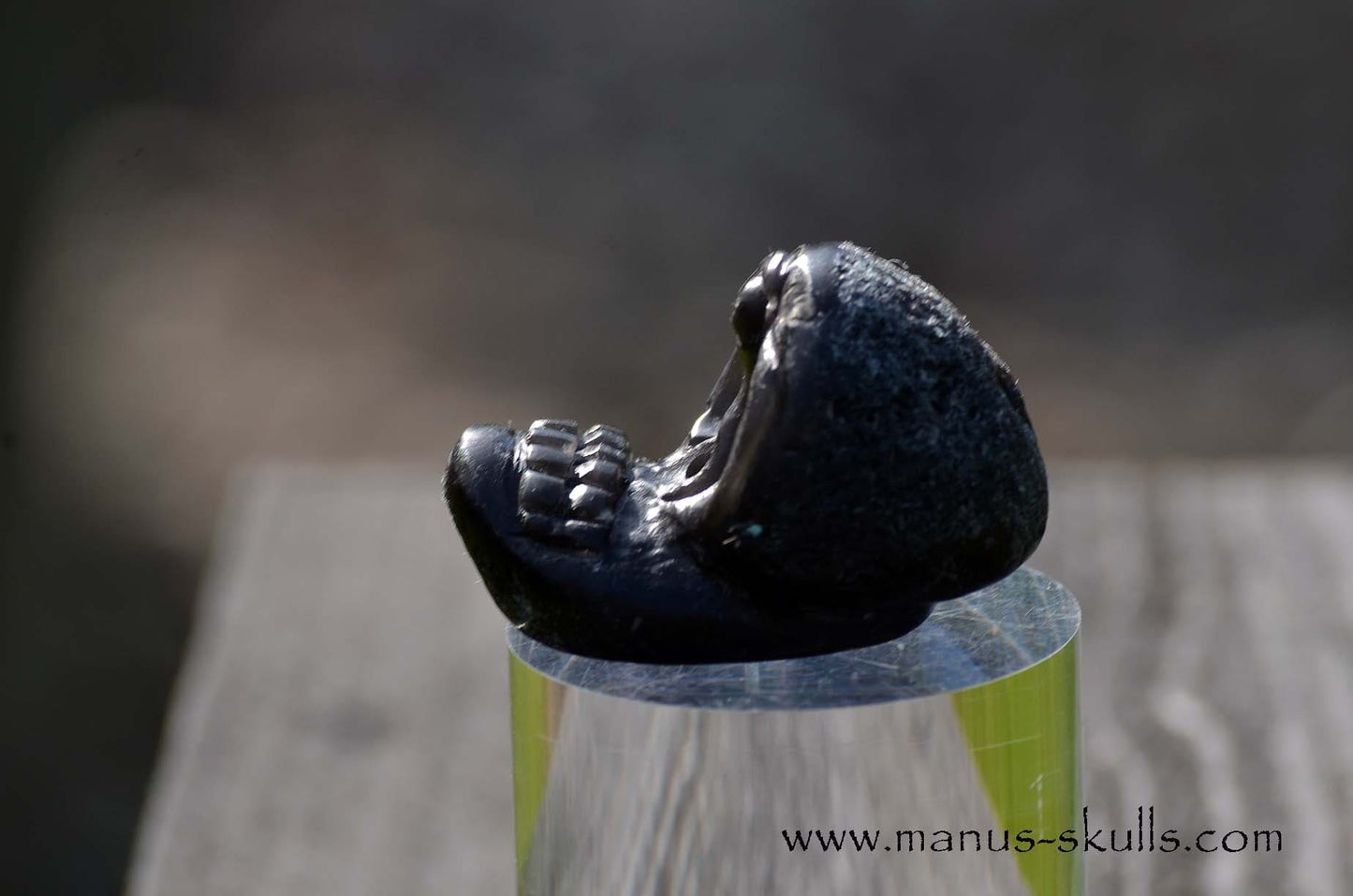 Agni Manitite Evolian #10