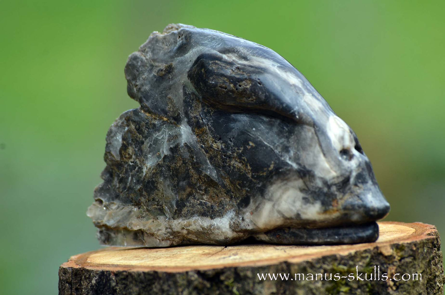 Selenite Marienglas Dragon black