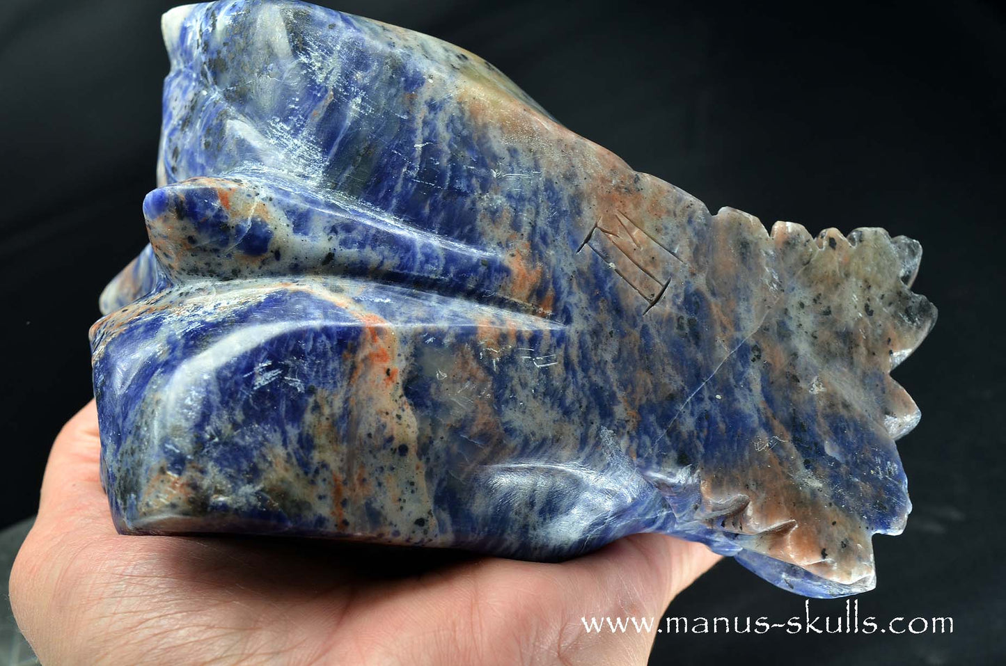 Sunset Sodalite Dragon