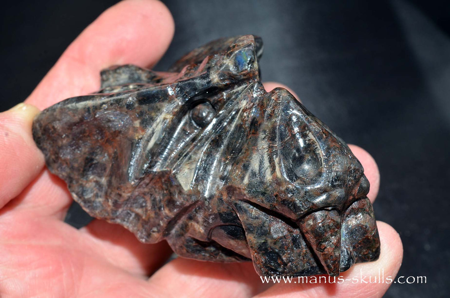 Spectrolite Dragon