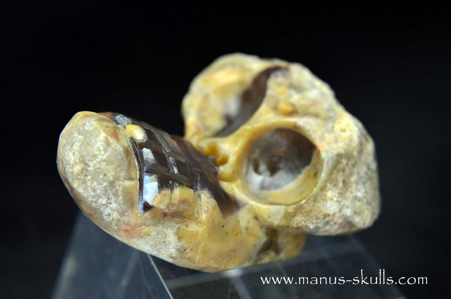 TNT-bed Thunderegg Evolian #09