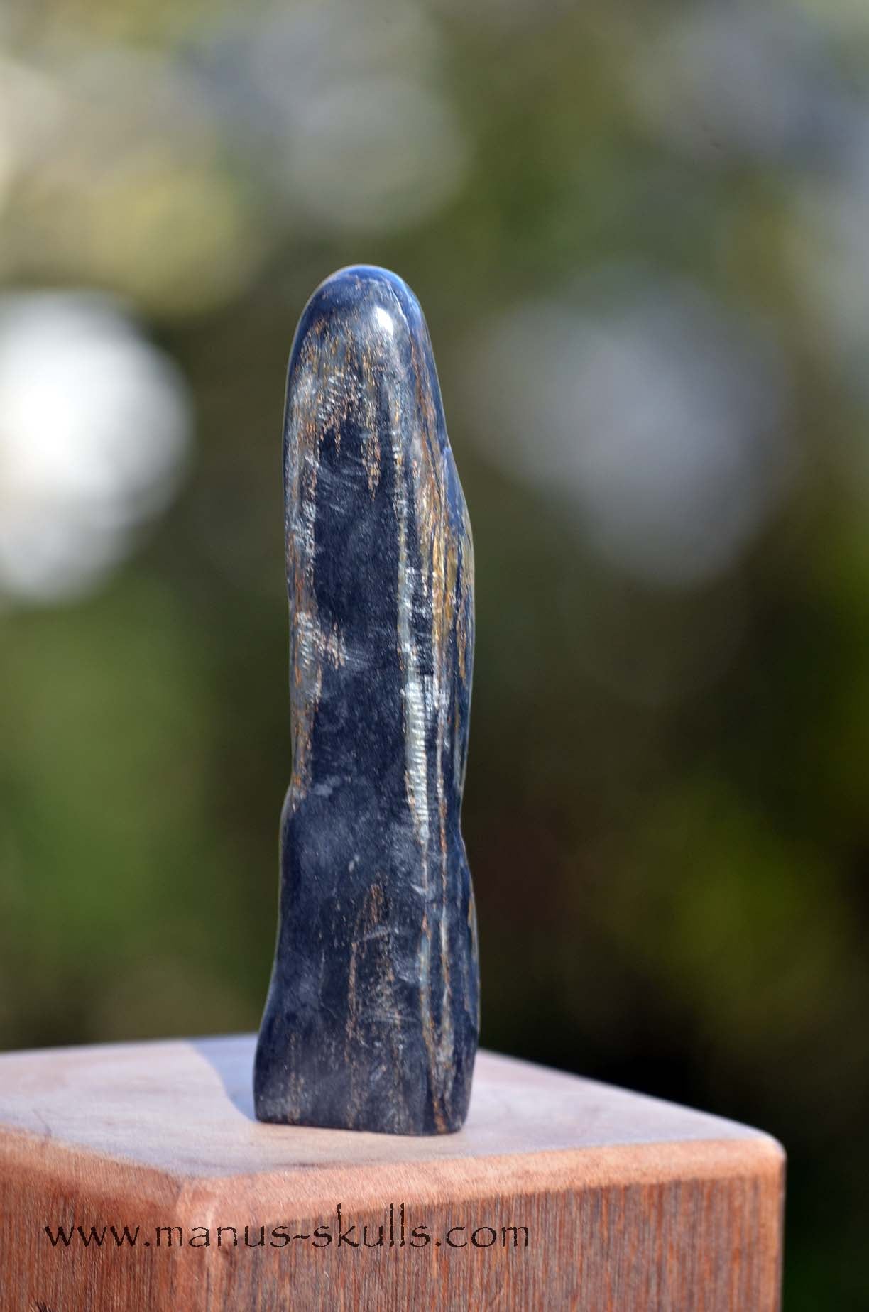 Isua Tribal Skull #019