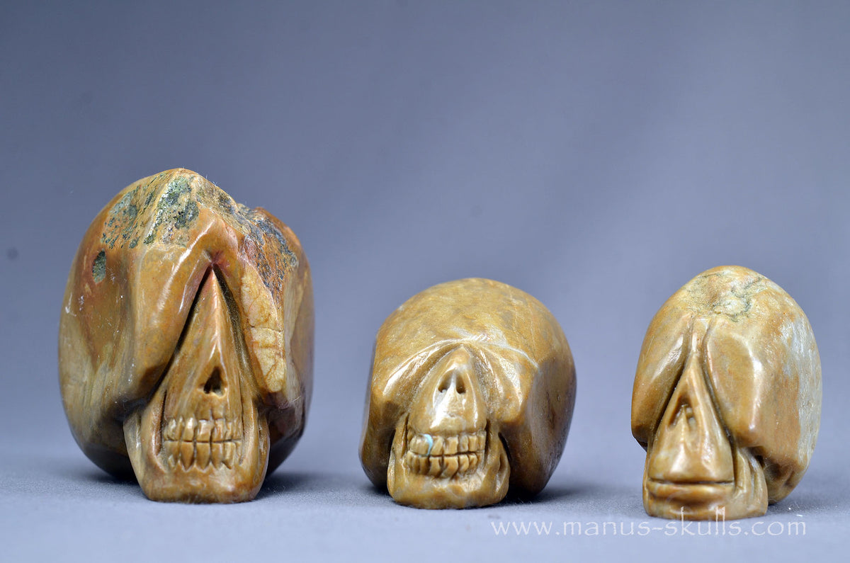 Sarsen Stone Skull
