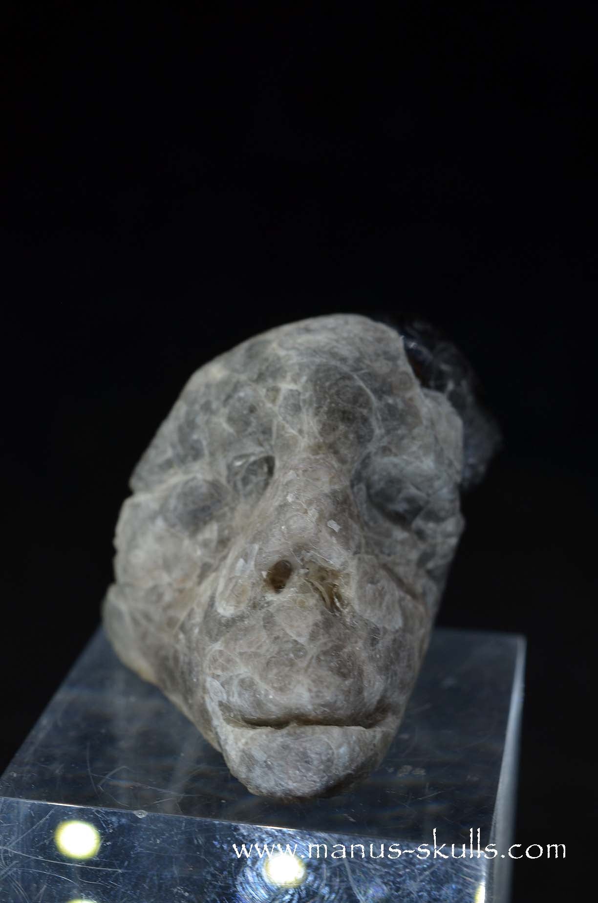 Manus skulls unique Crystal Carvings handmade skulls dragons pendants preseli bluestone tribals spiritual meaning wand Unicorn ..  apache tear obsidian