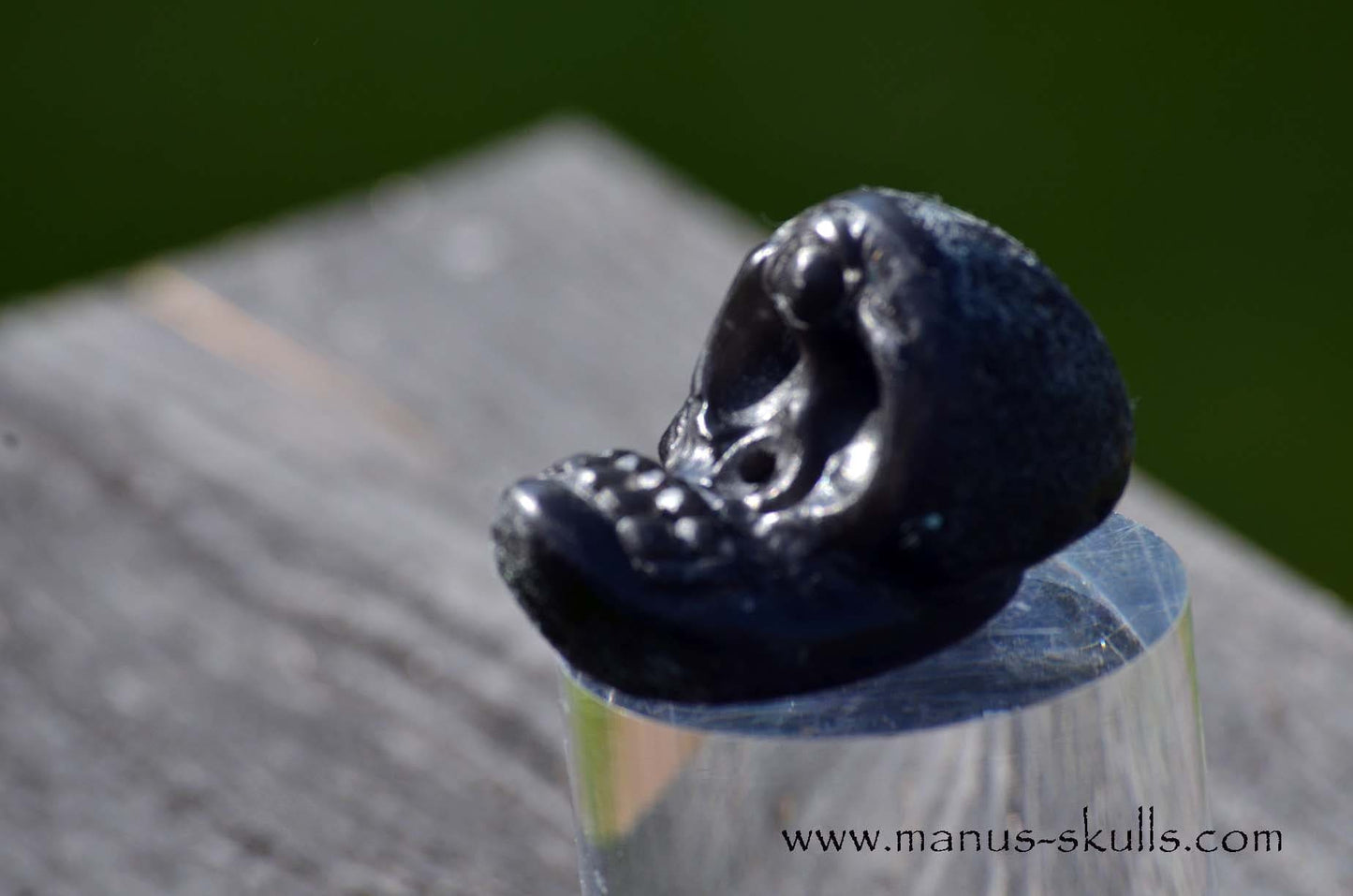 Agni Manitite Evolian #10