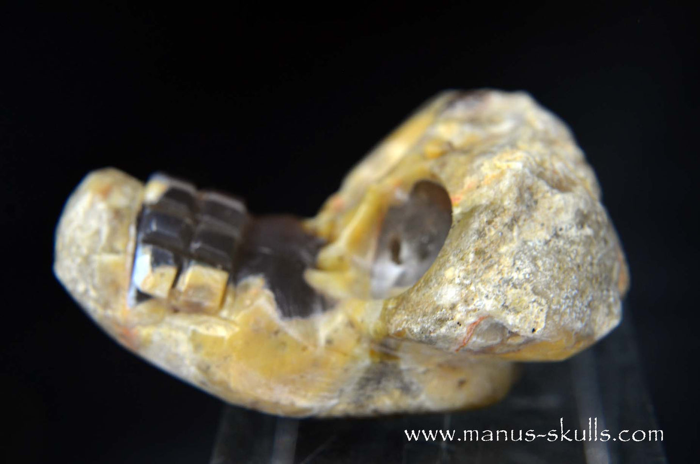 TNT-bed Thunderegg Evolian #09