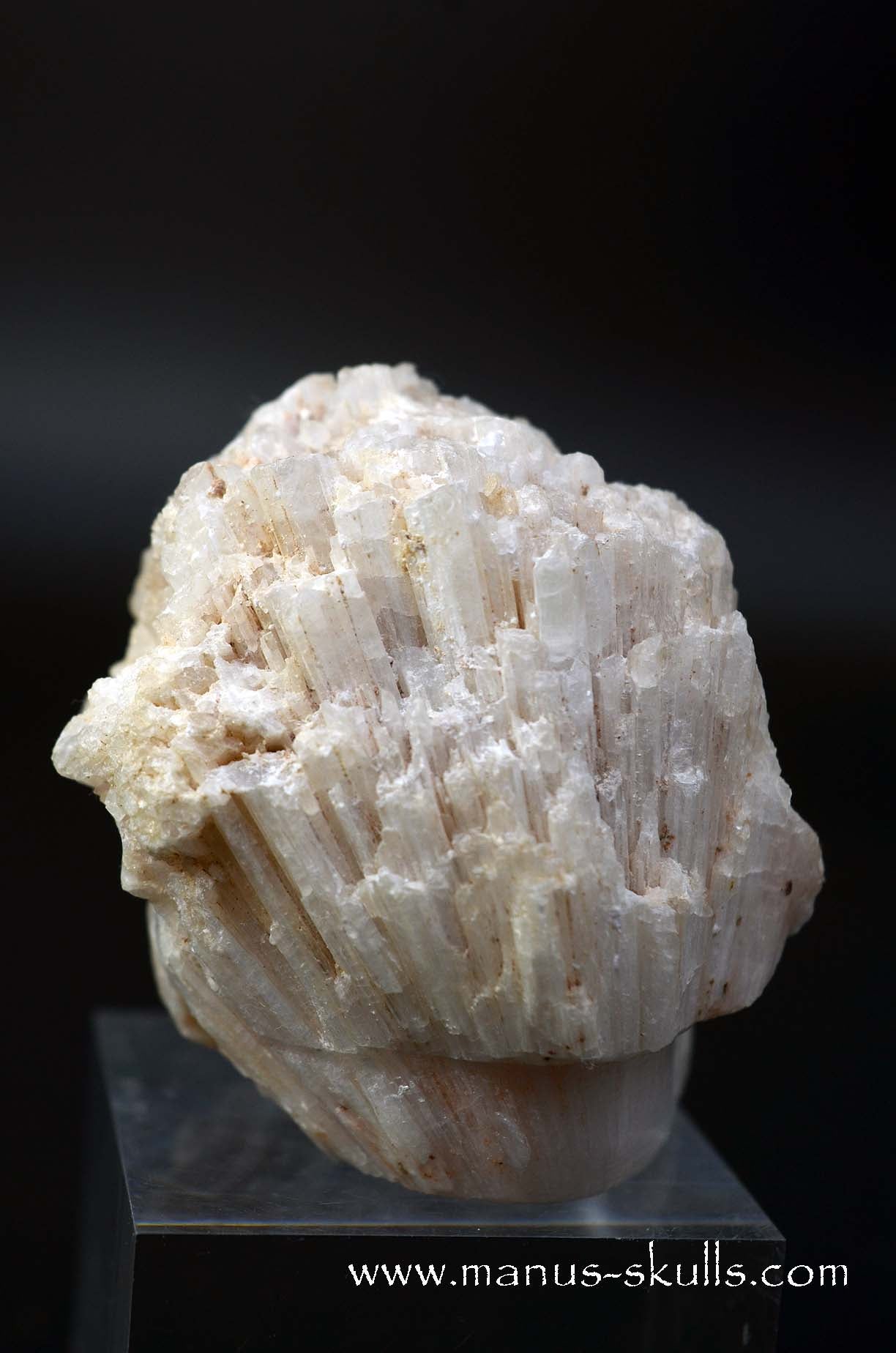 Scolecite Evolian Skull #10