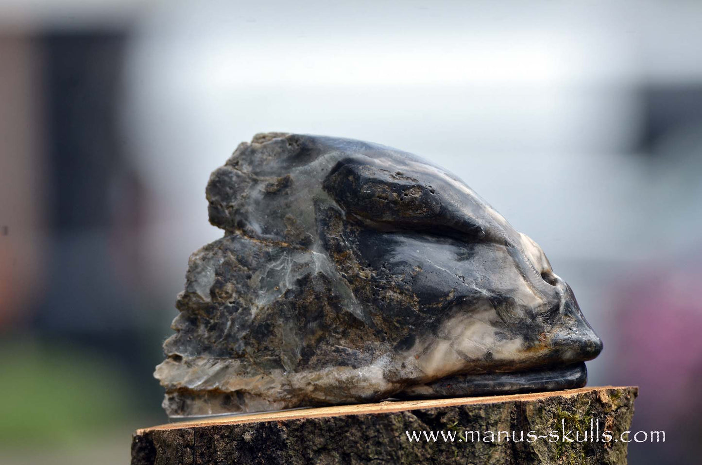 Selenite Marienglas Dragon black
