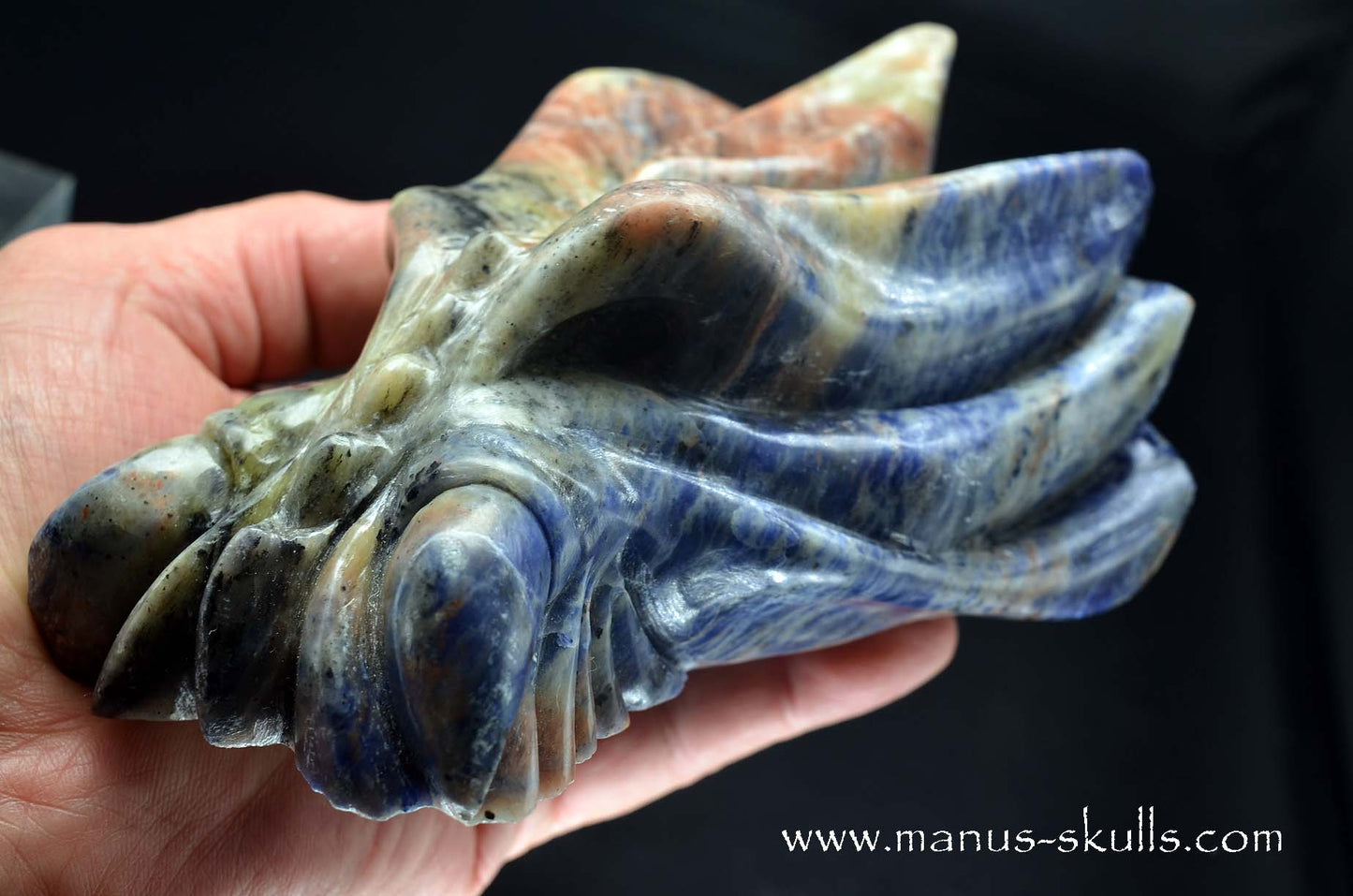 Sunset Sodalite Dragon