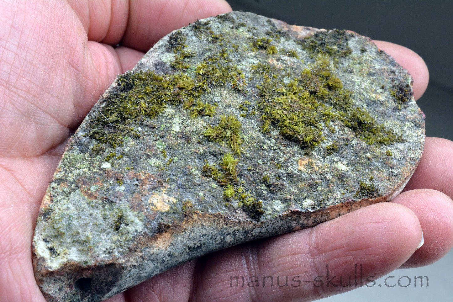 LABYRINTH Preseli Bluestone Tablet Disc