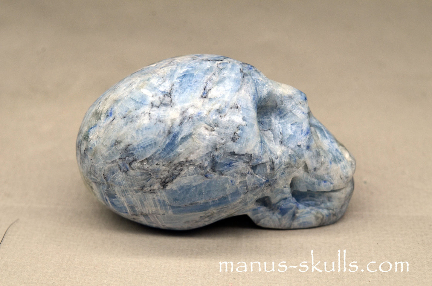 Blue Kyanite Manus Skull.